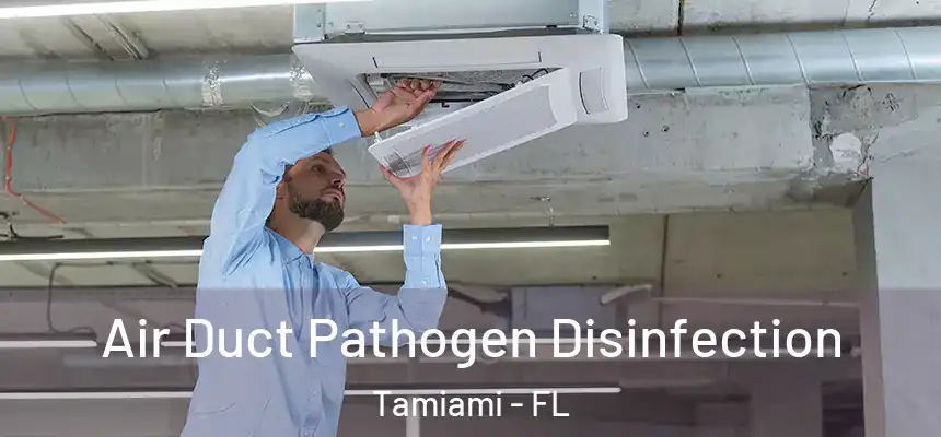 Air Duct Pathogen Disinfection Tamiami - FL