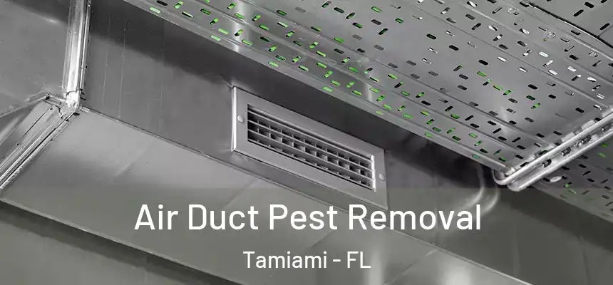 Air Duct Pest Removal Tamiami - FL