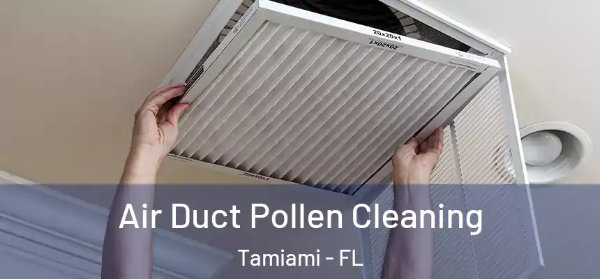 Air Duct Pollen Cleaning Tamiami - FL