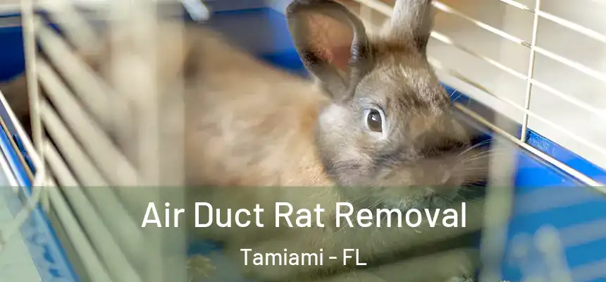 Air Duct Rat Removal Tamiami - FL