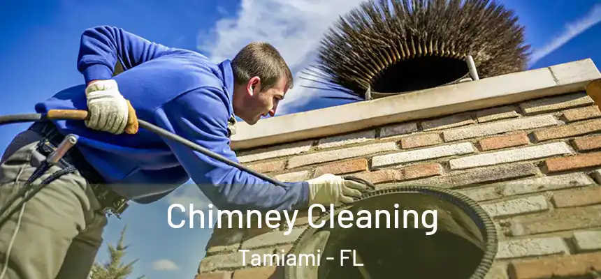 Chimney Cleaning Tamiami - FL
