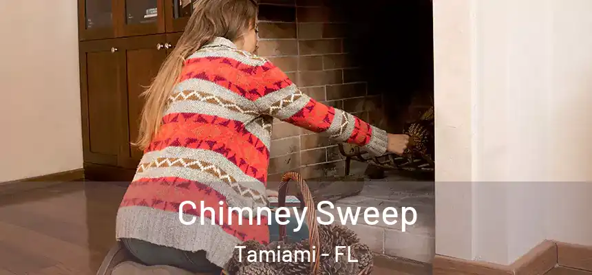 Chimney Sweep Tamiami - FL