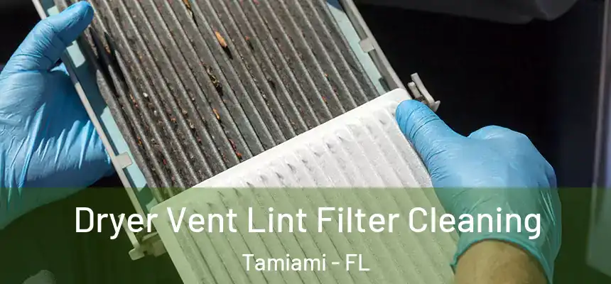 Dryer Vent Lint Filter Cleaning Tamiami - FL
