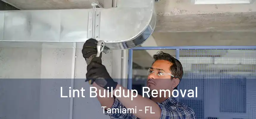 Lint Buildup Removal Tamiami - FL