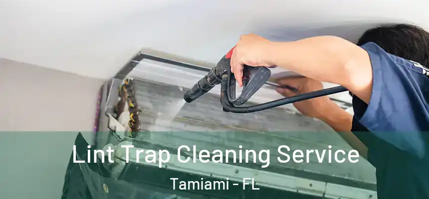Lint Trap Cleaning Service Tamiami - FL