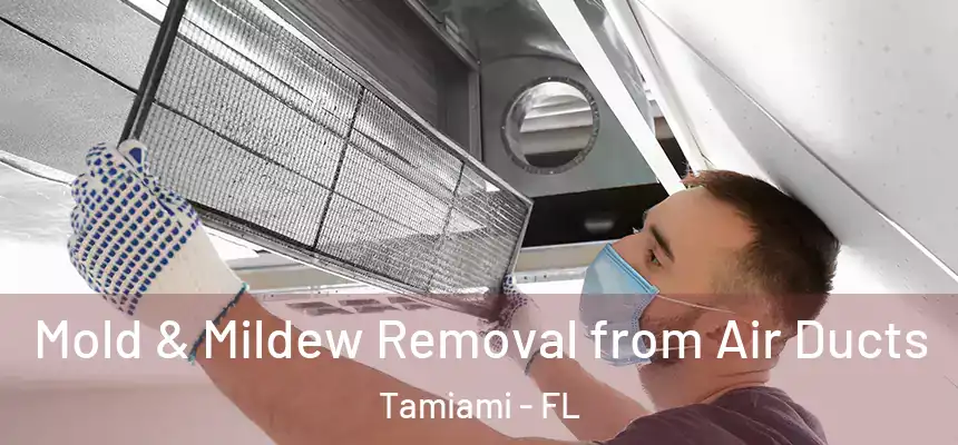 Mold & Mildew Removal from Air Ducts Tamiami - FL
