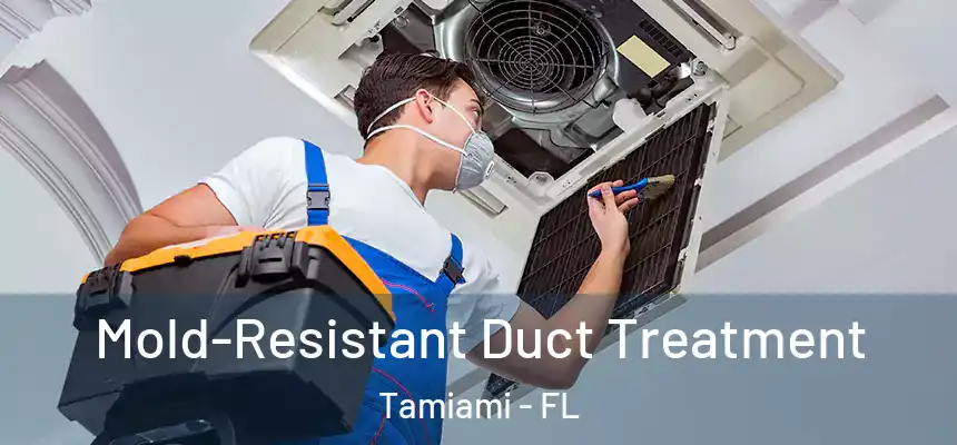 Mold-Resistant Duct Treatment Tamiami - FL