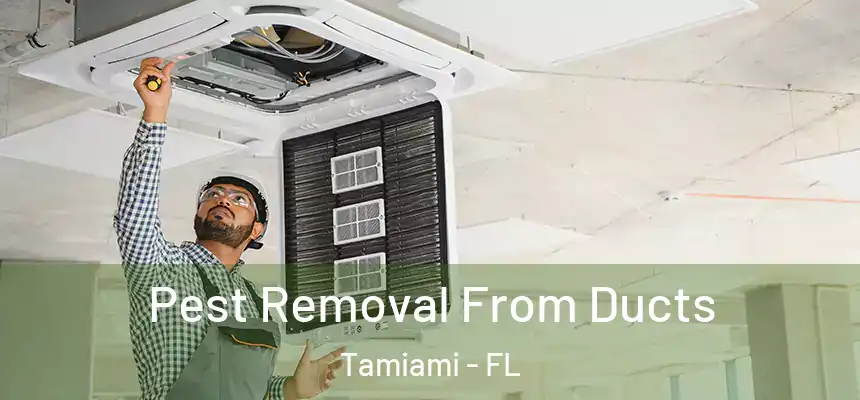 Pest Removal From Ducts Tamiami - FL