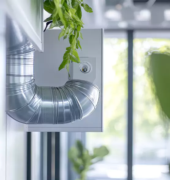 Professional Eco-Safe Dryer Vent Cleaning in Tamiami, FL