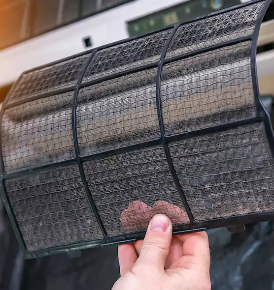 About Pet Dander Duct Cleaning in Tamiami, FL